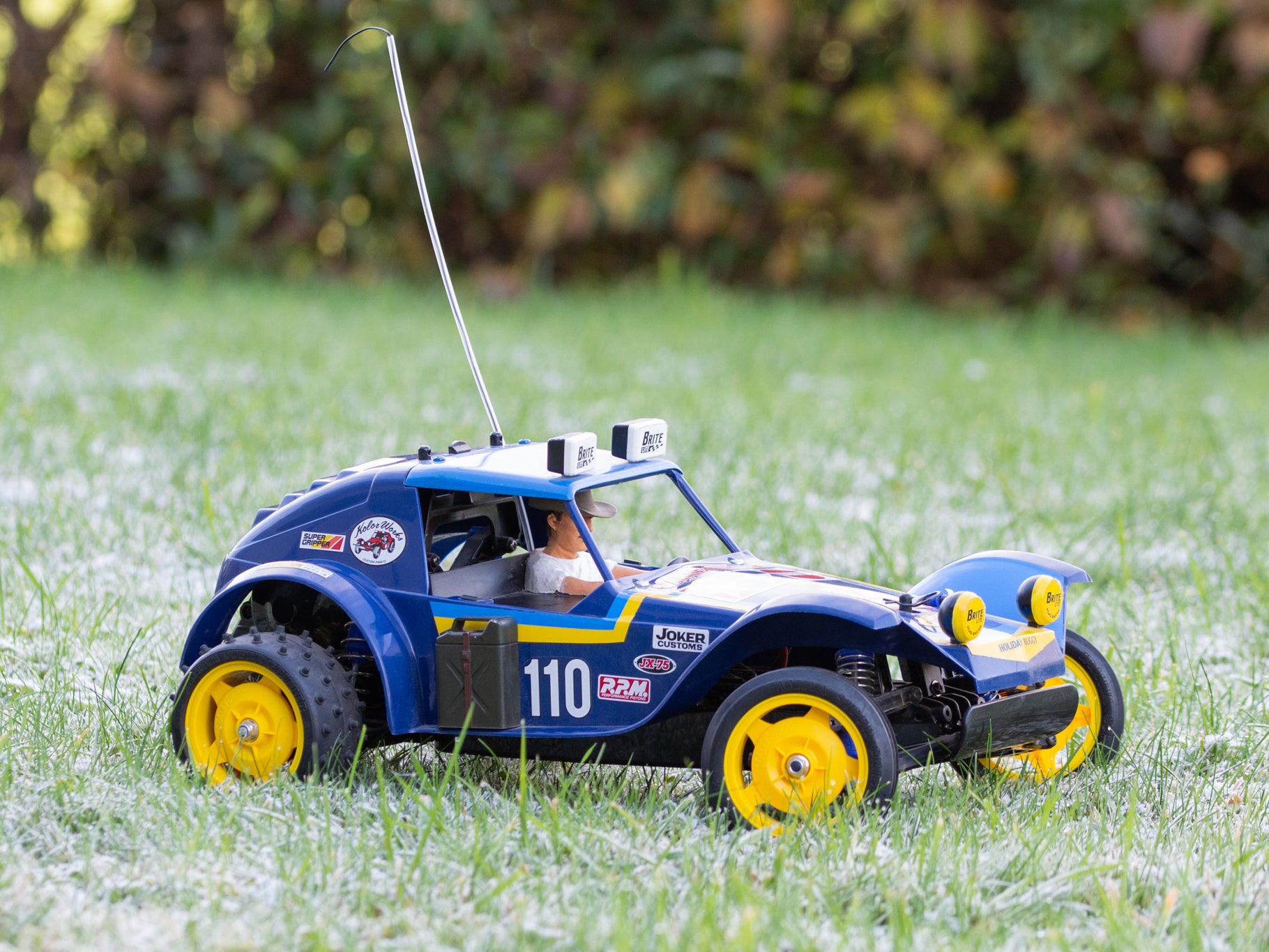 Tamiya Holiday Buggy 2010 (DT-02) 58470