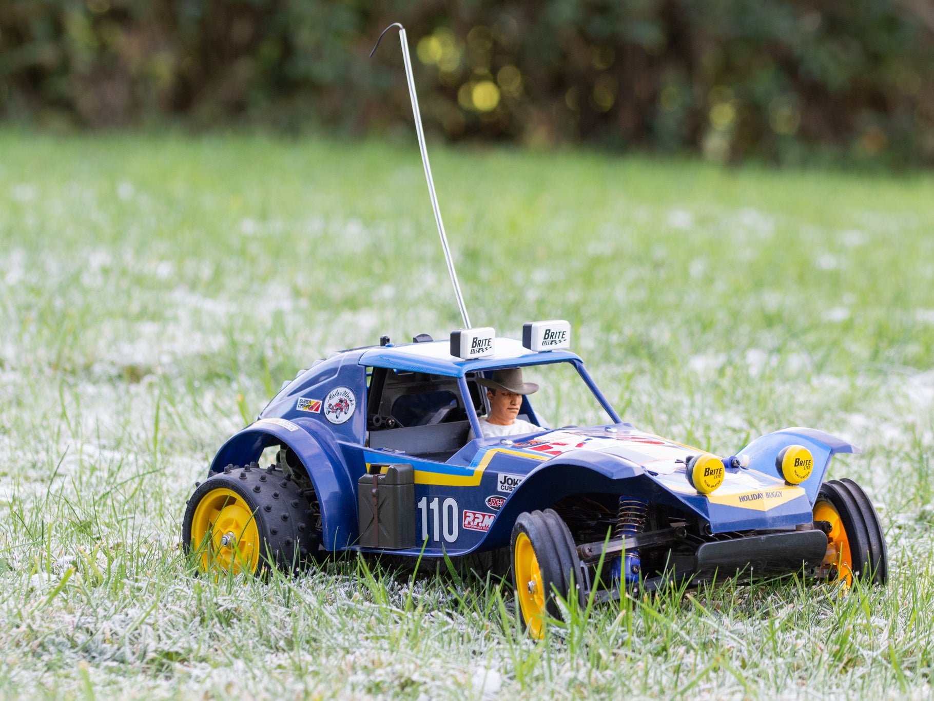 Tamiya Holiday Buggy 2010 (DT-02) 58470