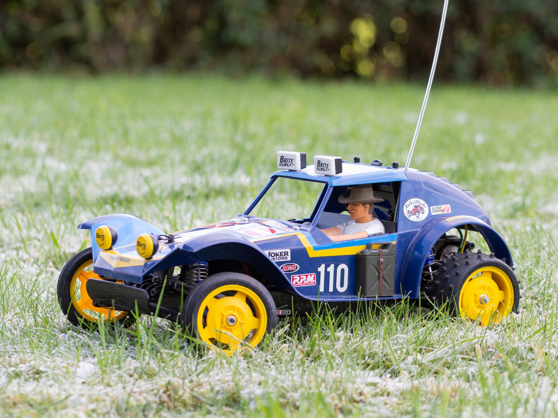 Tamiya Holiday Buggy 2010 (DT-02) 58470