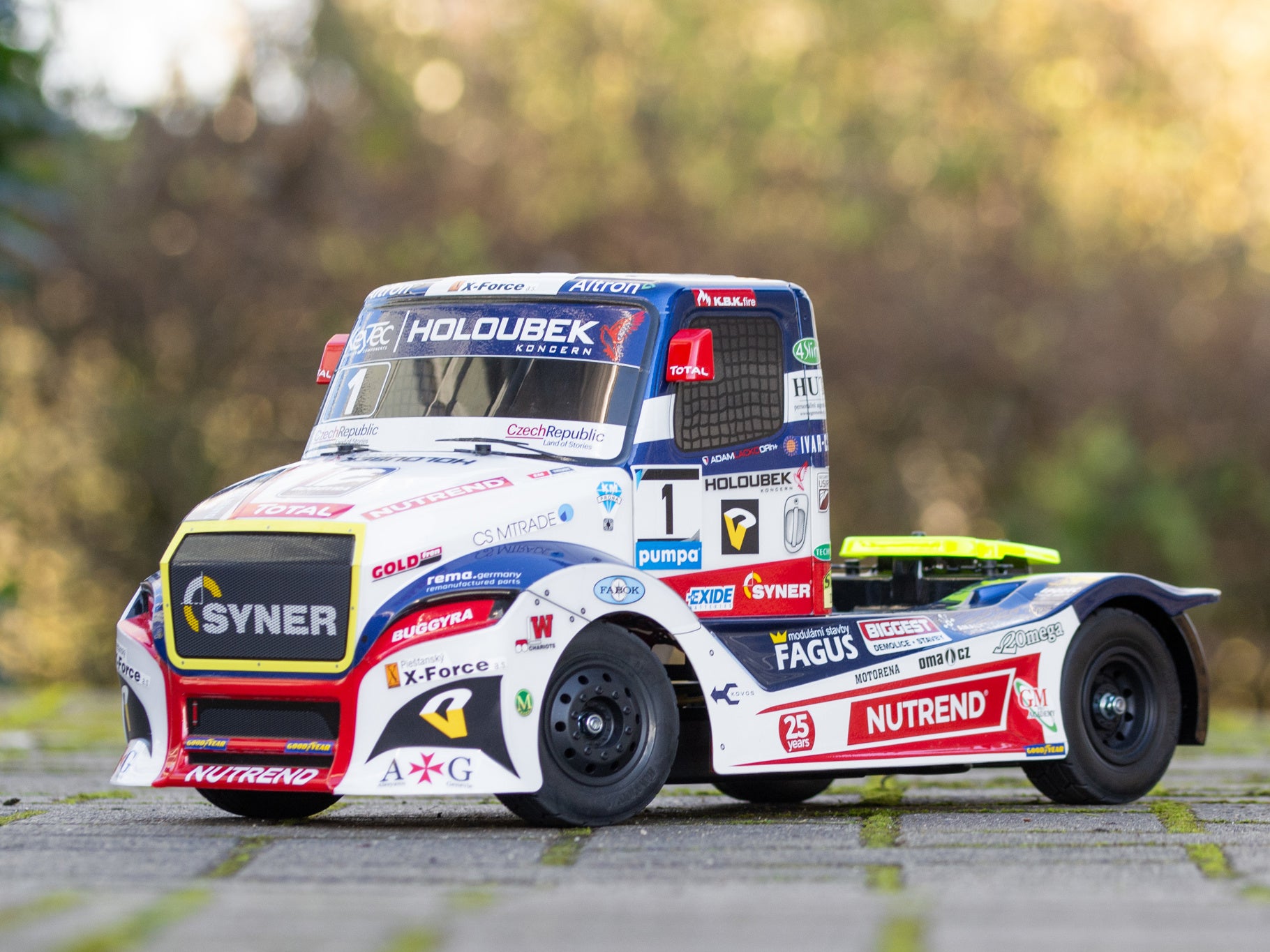 Tamiya RC Buggyra Racing Fat Fox 58661