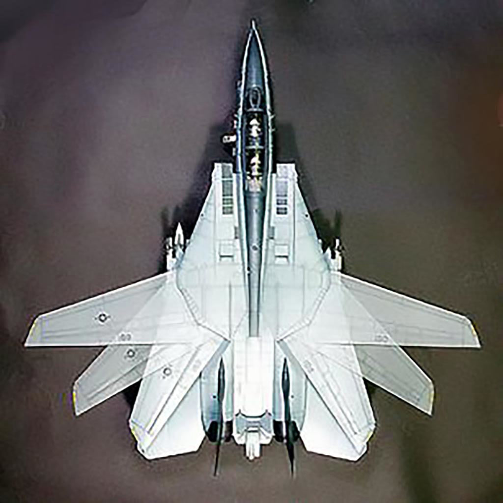 Tamiya F-14A Tomcat Black Knights 60313