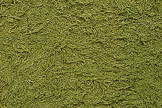 Texture Paint - Grass Green