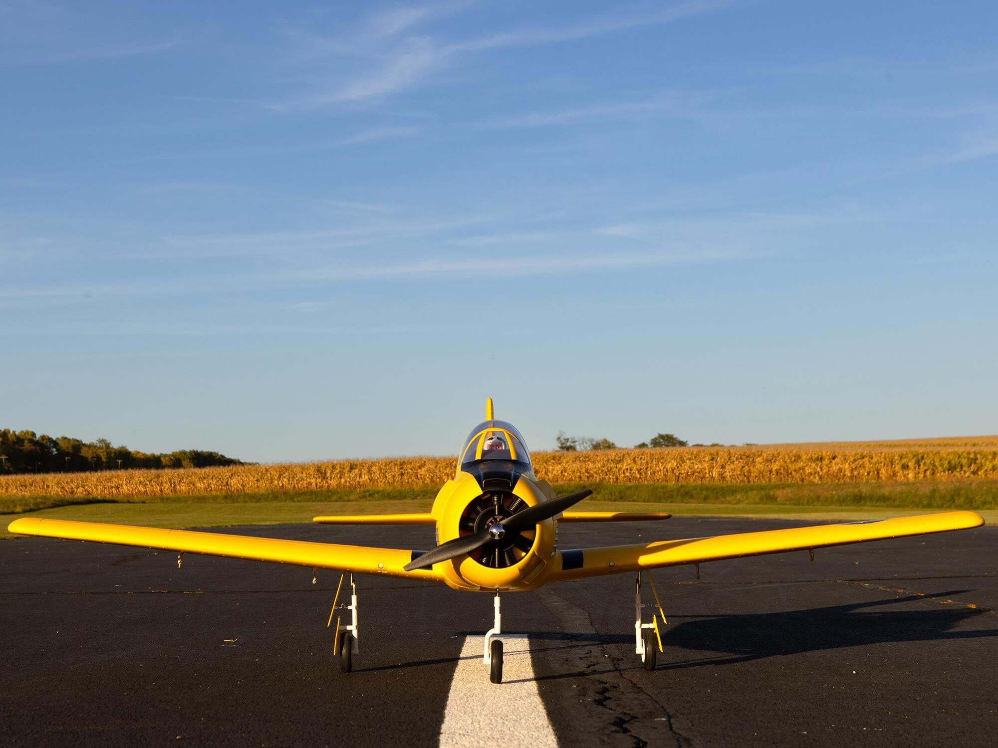 Carbon-Z T-28 Trojan 2.0m BNF Basic with AS3X and SAFE Selec