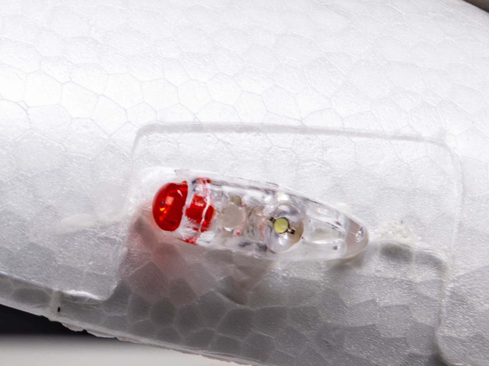 E-Flite Night Timber X Evolution 1.2m PNPA-EFL013875