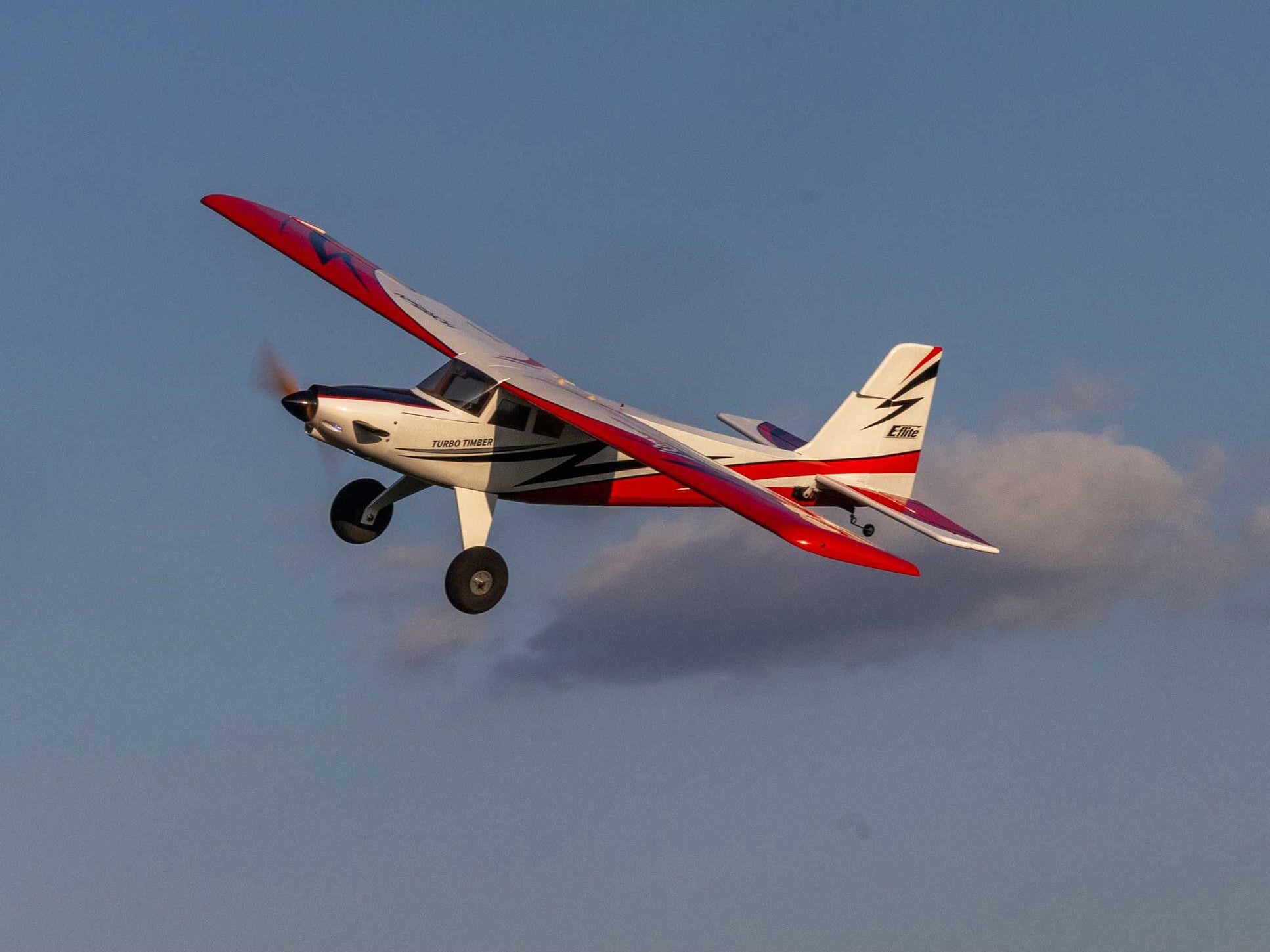 Turbo Timber SWS 2.0m ARF