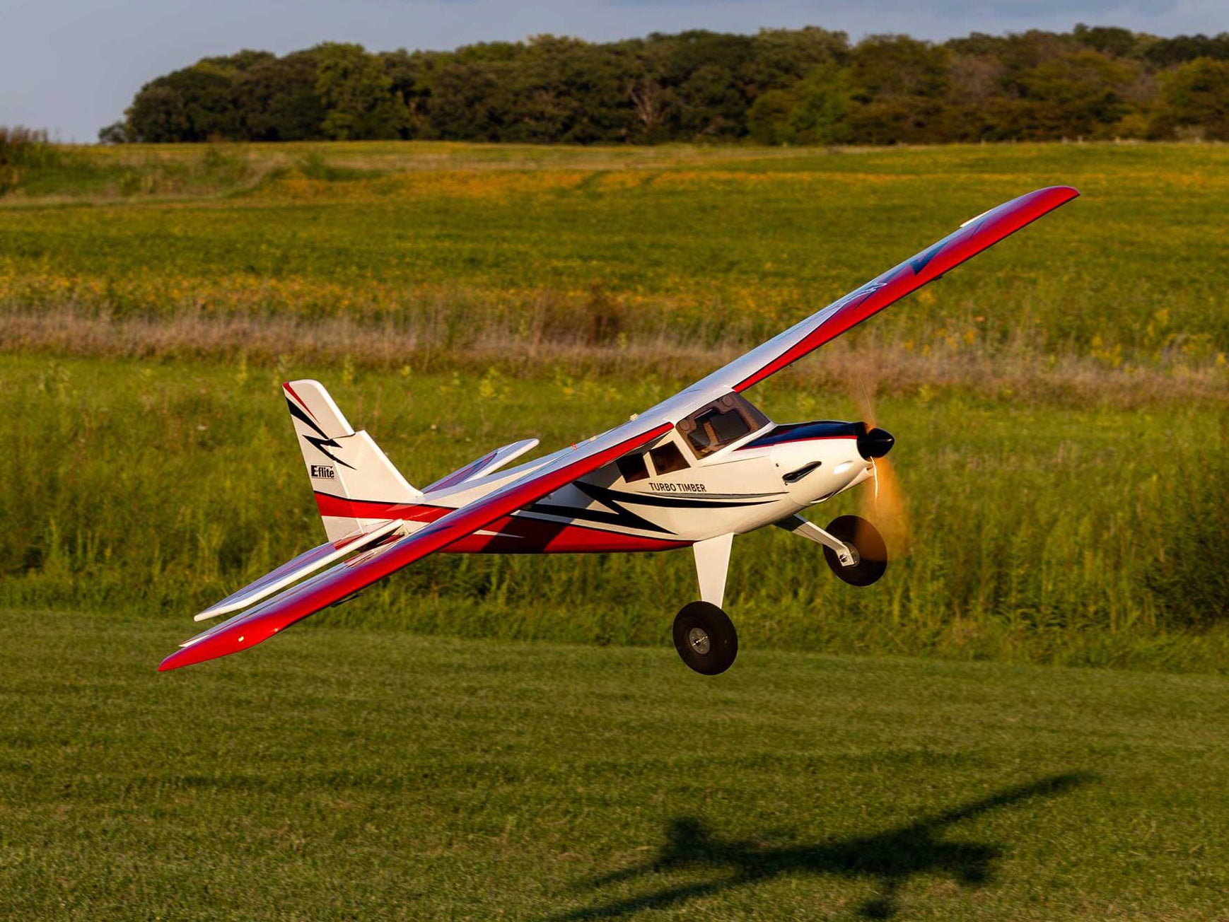 Turbo Timber SWS 2.0m ARF