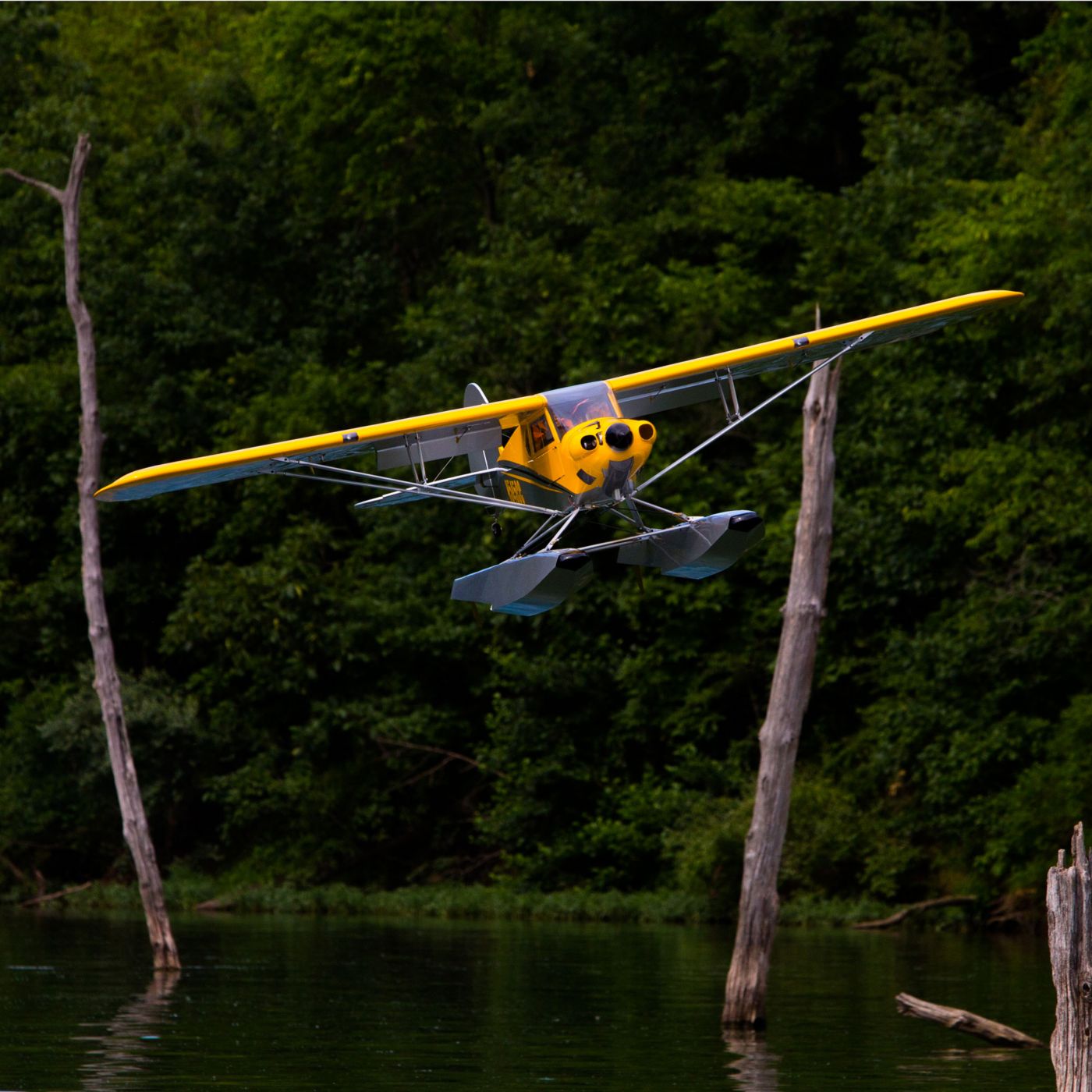 Carbon Cub 15cc ARF