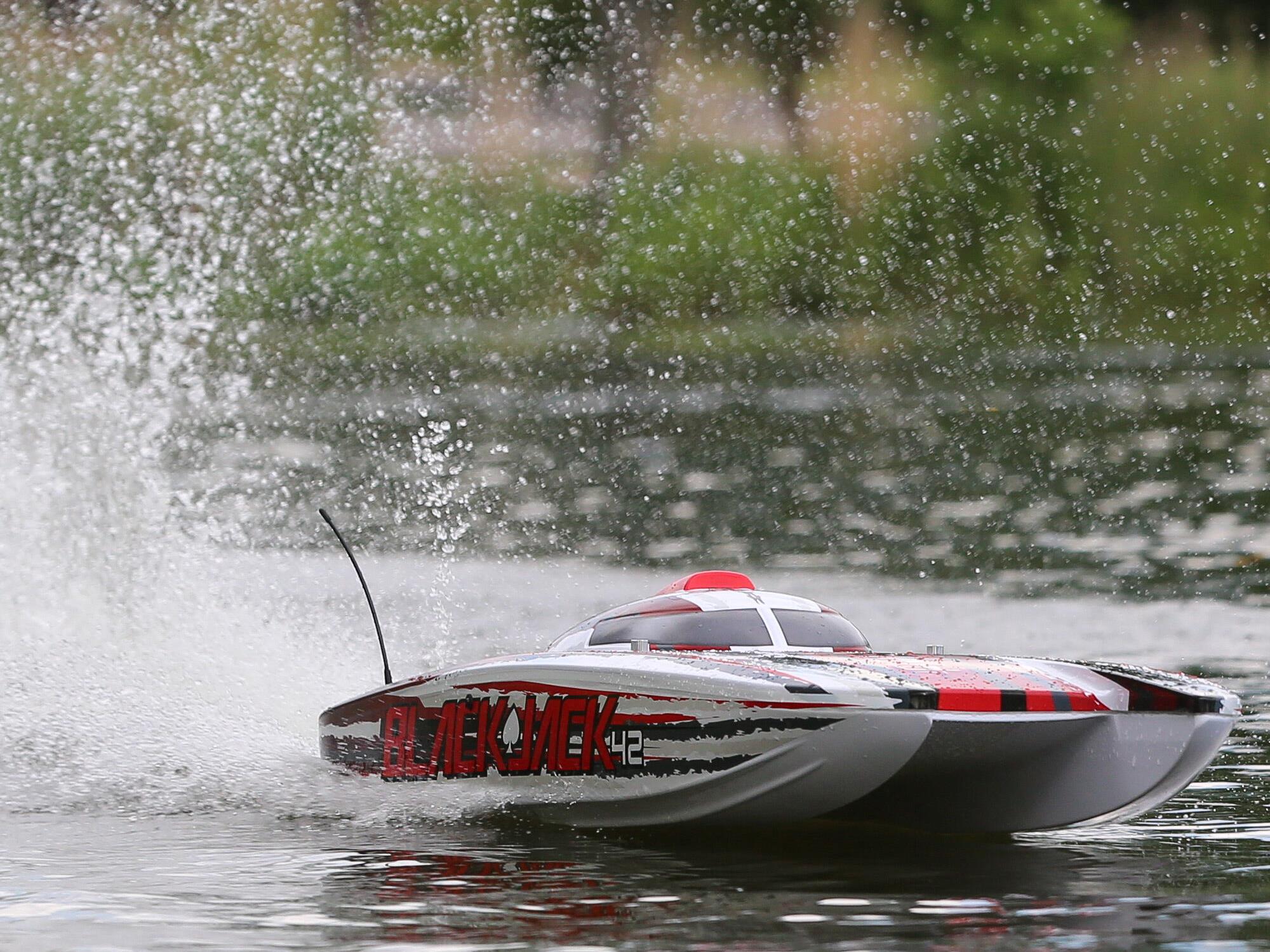 Blackjack 42" 8S Brushless Catamaran RTR: White/Red