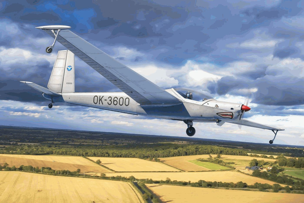 L-13SE VIVAT AKVY TMG plane