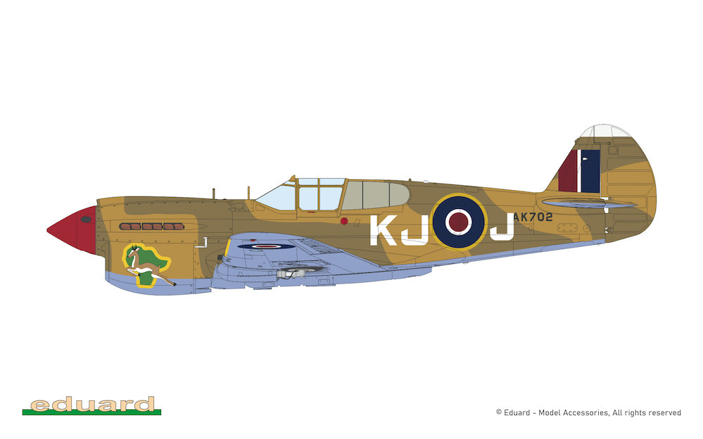 Eduard kits Curtiss KITTYHAWK DUAL COMBO EDK11187