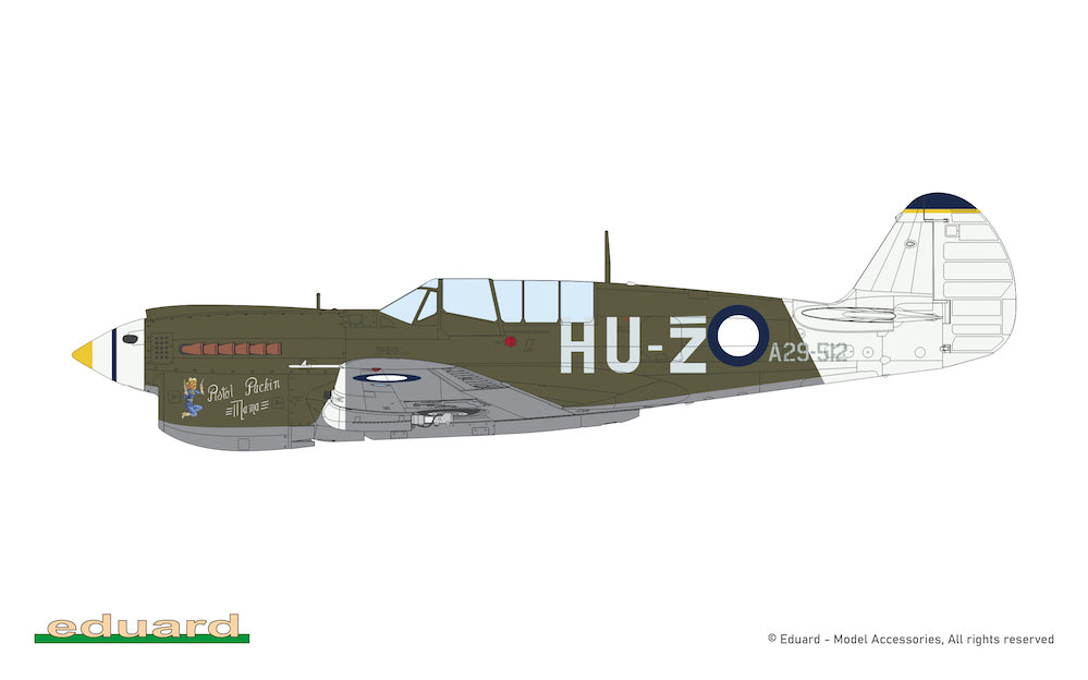 Eduard kits Curtiss KITTYHAWK DUAL COMBO EDK11187