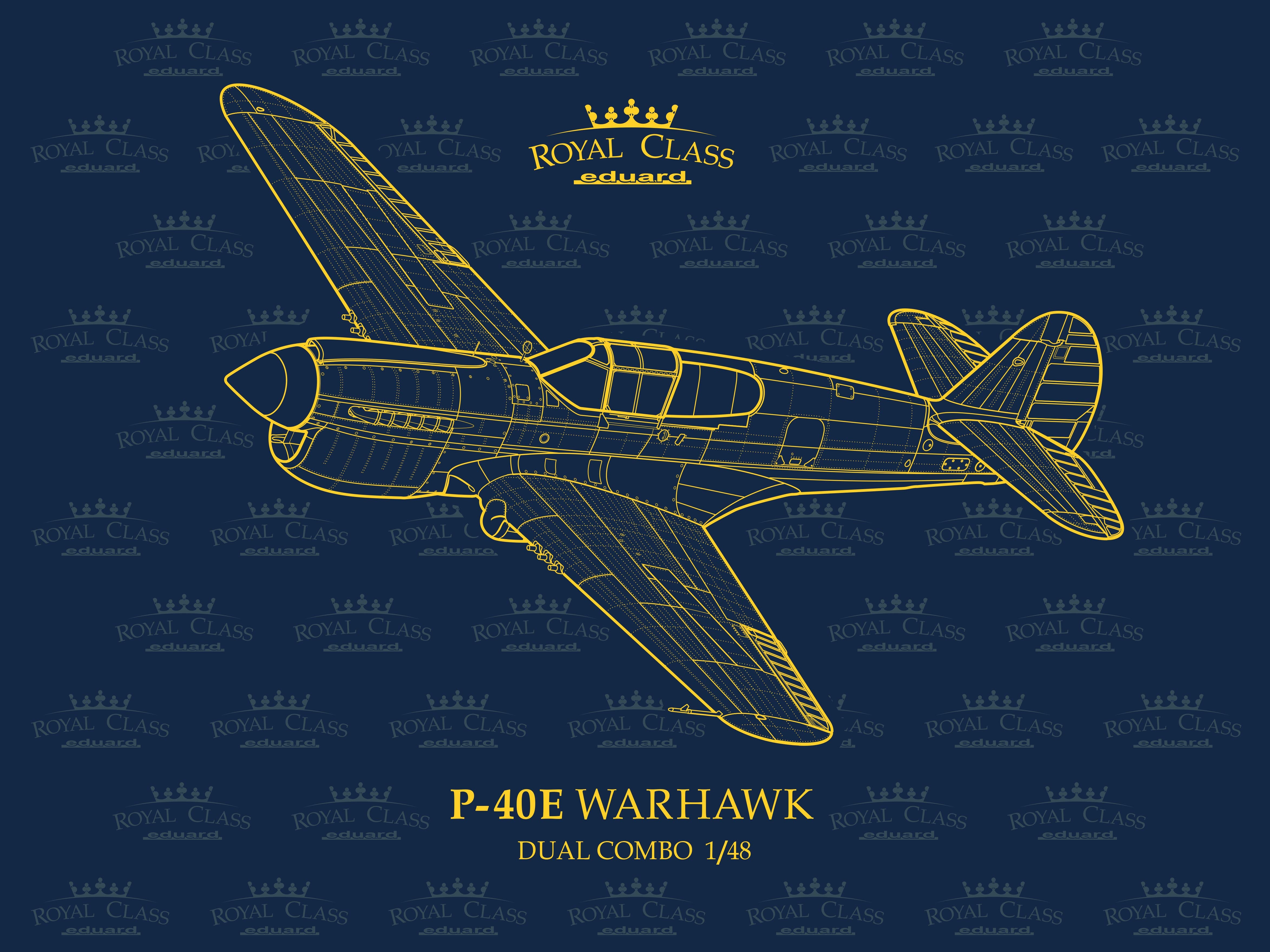 Eduard kits Curtiss P-40E Warhawk - EDR0023