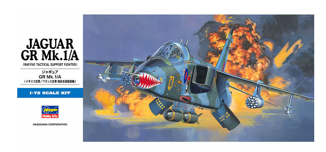 Hasegawa D02 1/72 Royal Air Force Sepecat Jaguar GR.1A HAD02
