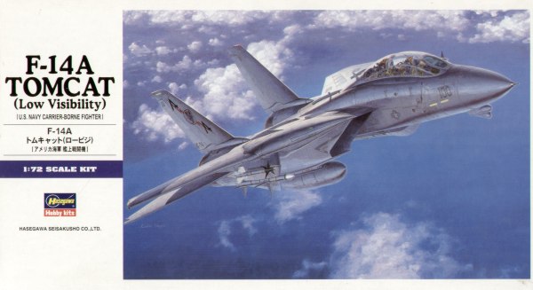 Grumman F-14A Tomcat with Low Visibility decals