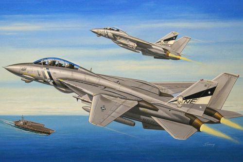 Hobbyboss 1:72 - F-14d Super Tomcat