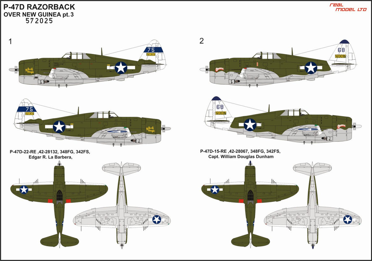 Republic P-47D Thunderbolt RAZORBACK OVER NEW GUINEA pt. 3 STANDARD DECALS