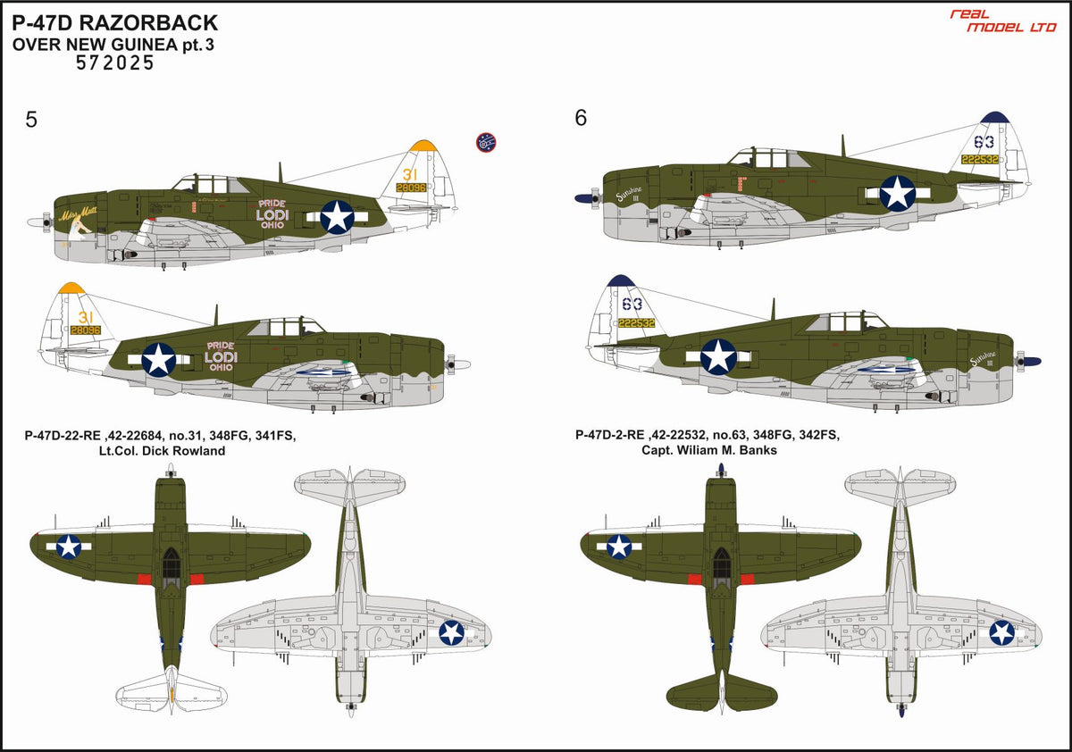 Republic P-47D Thunderbolt RAZORBACK OVER NEW GUINEA pt. 3 STANDARD DECALS