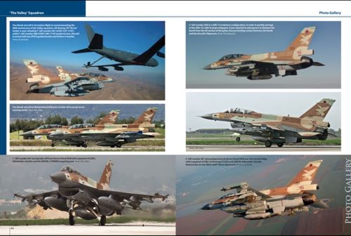 IAF Lockheed-Martin F-16C/F-16D Barak in IAF service