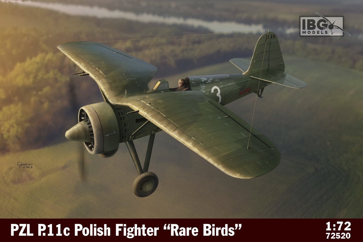 PZL P.11c Polish Fighter - Rare Birds