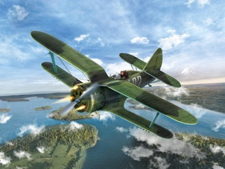 ICM I-153 "Chaika", WWII Soviet Fighter Plane