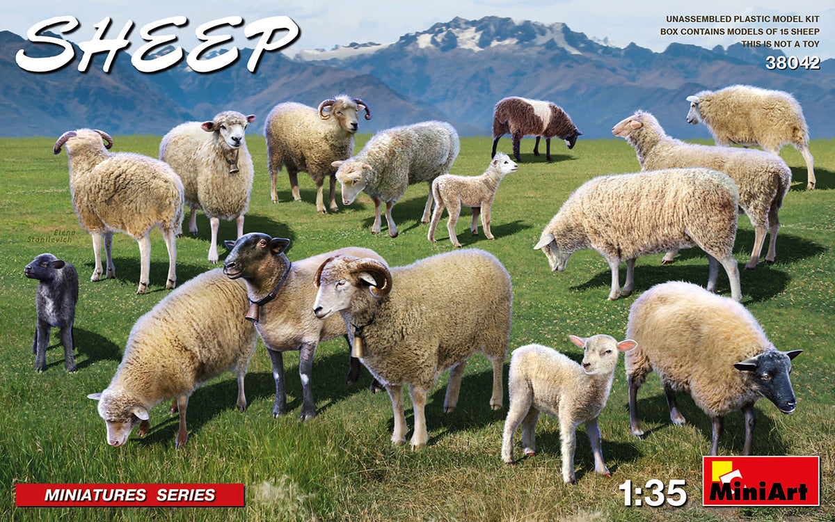 SHEEP
