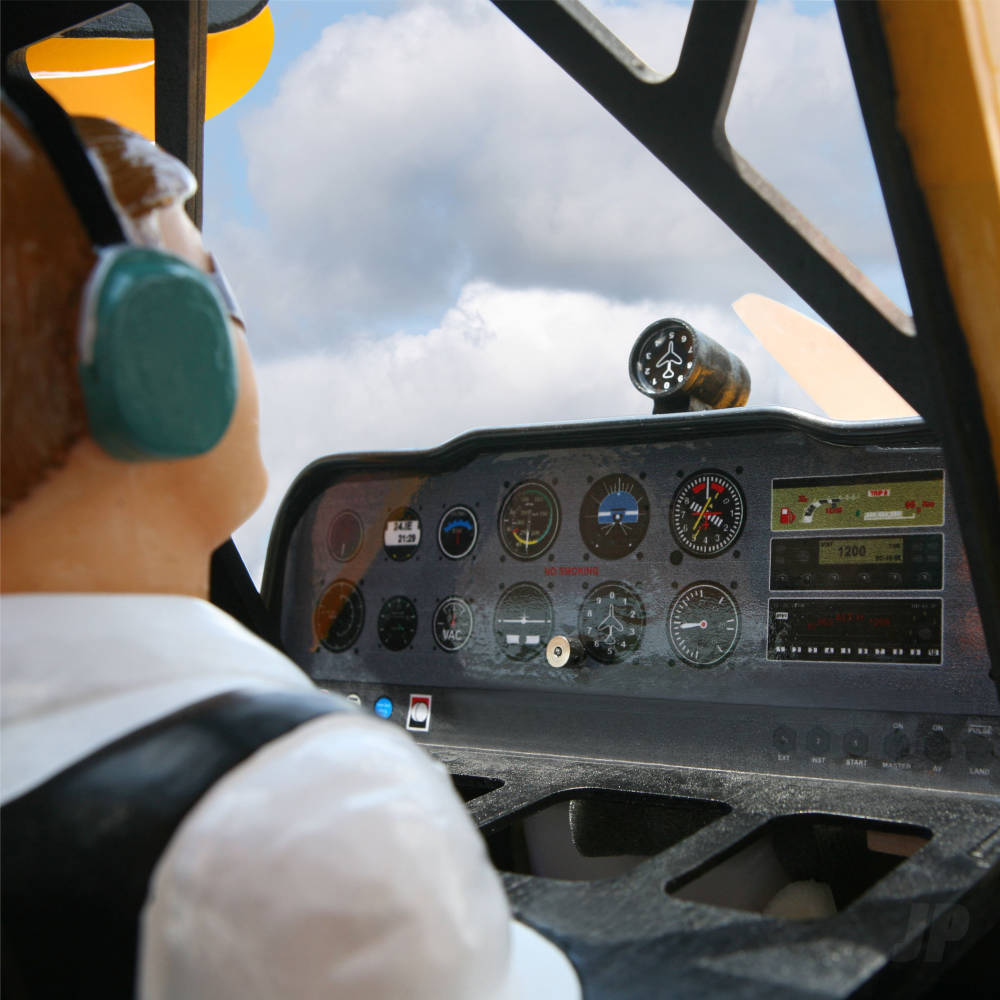 Seagull Champion Xtreme Decathlon (SEA394Y)