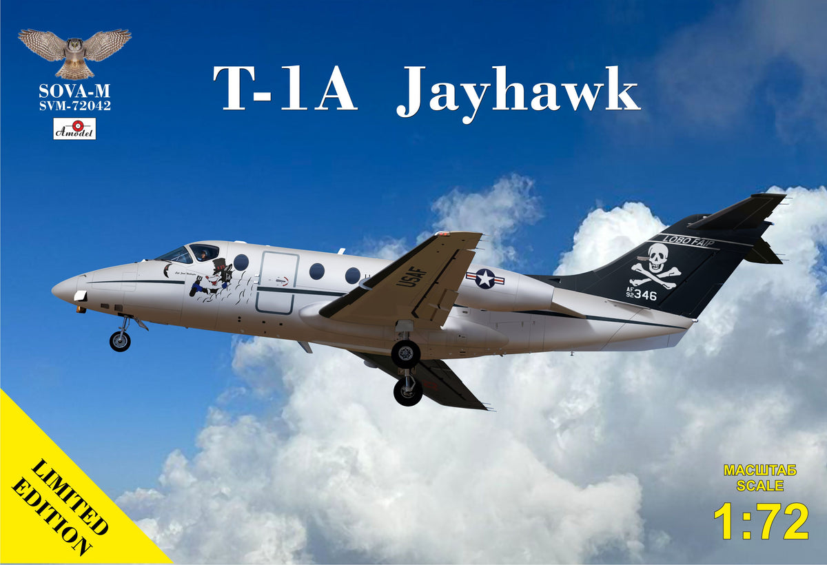 Raytheon T-1A Jayhawk USAF
