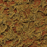 Grass Effect Khaki