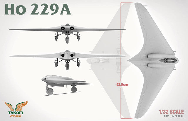 Horten Ho-229A with seated pilot