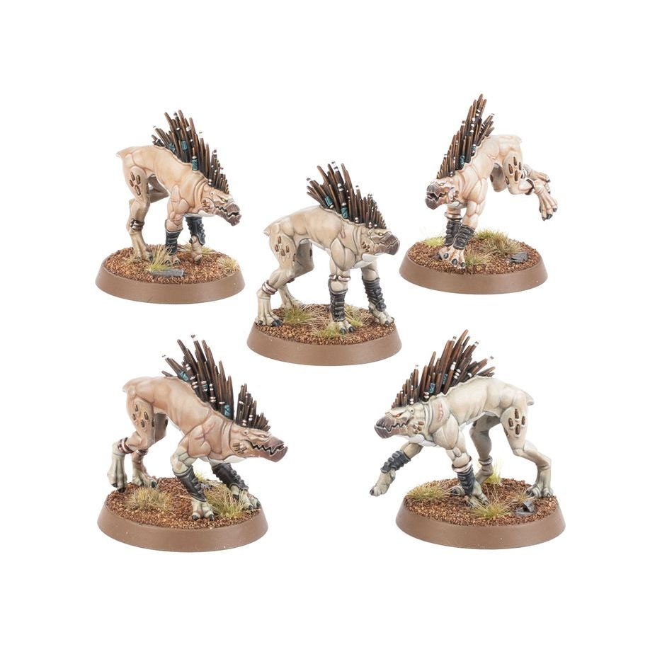 T'au Empire: Kroot Hounds 56-58