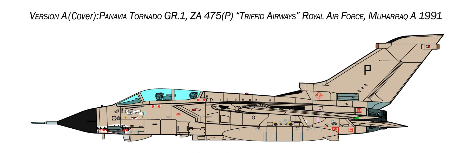 Tornado GR.1/IDS Gulf War