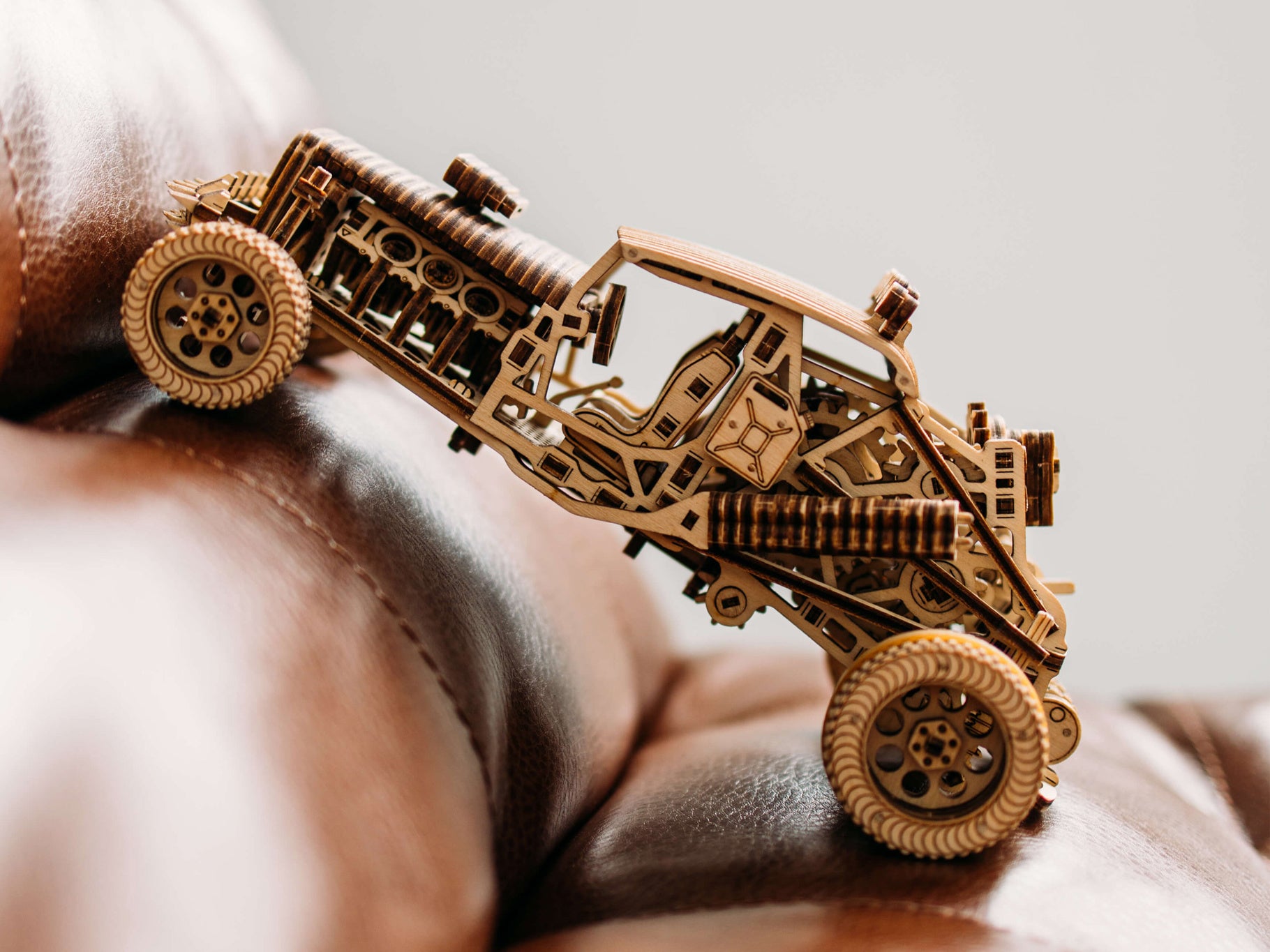 Mad Buggy