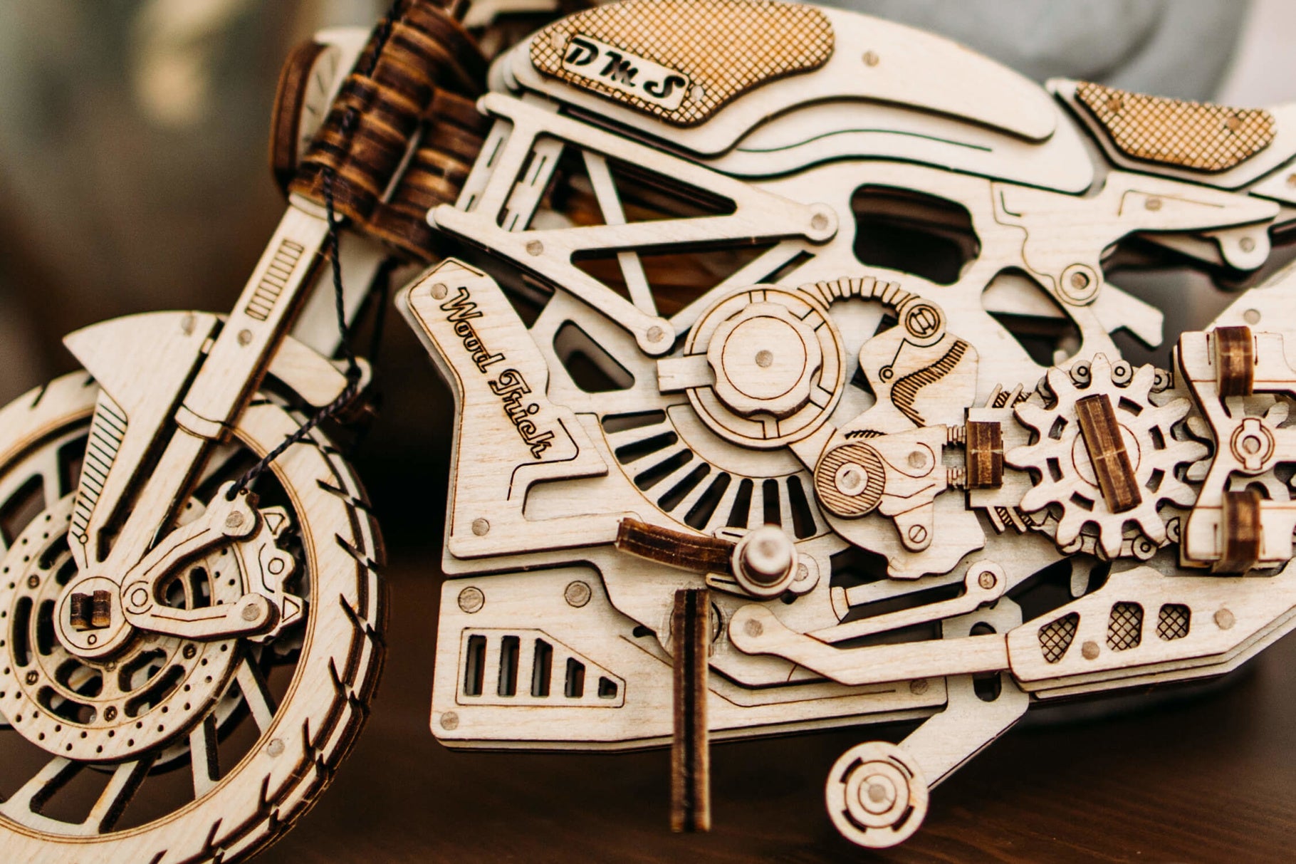 Motorcycle DMS