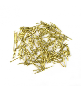Pin 10Mm (200U)