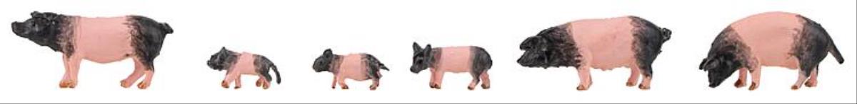 Faller Schwabisch-Hallische Pigs (6) Figure Set FA151916