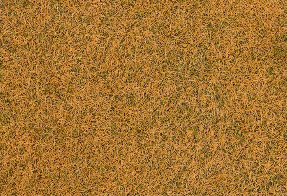 Faller Withered Wild Grass Fibres 4mm (80g) FA170235