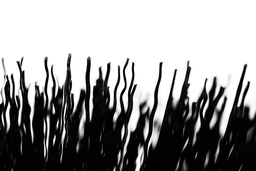 Ghiant Muc-Off Tyre & Cassette Brush MUC369