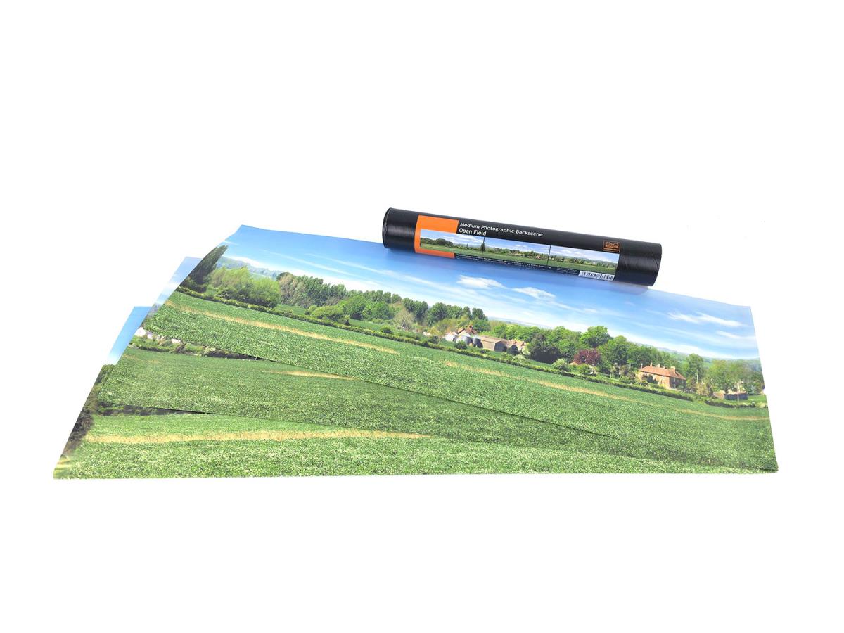 Open Field Medium Photo Backscene (2038x228mm)