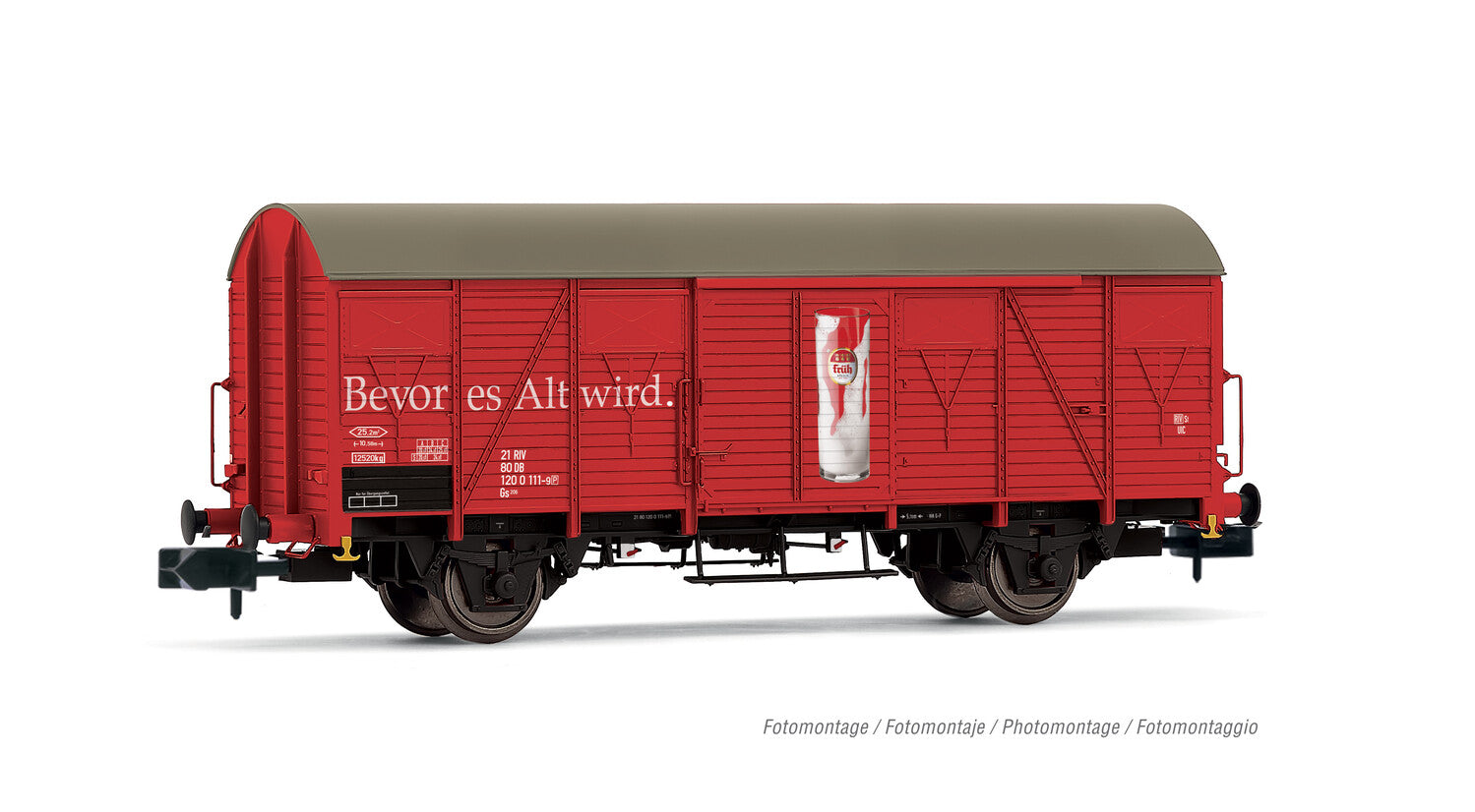 Arnold DB Gs Van Fruh Kolsch IV HIN6644