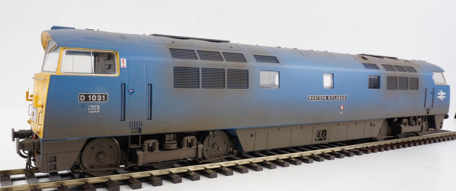 Heljan Class 52 D1031 'Wetern Rifleman' BR Blue FYE Weathered HN5294