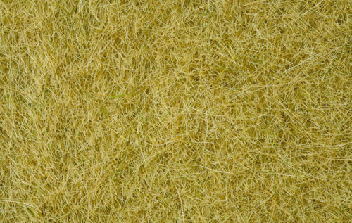 Noch Beige Wild Grass 6mm (100g) N07091