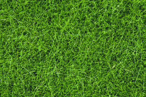 Noch Dark Green Wild Grass 6mm (100g) N07094