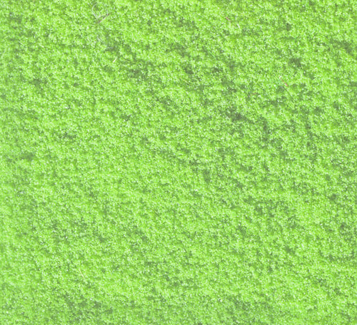 Noch Light Green Flock (30g) N07241