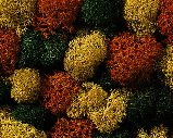 Noch Autumn Mix Lichen (35g) N08630