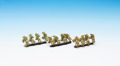 Noch Plantation Apple (12) Profi Trees 3.5cm N21532