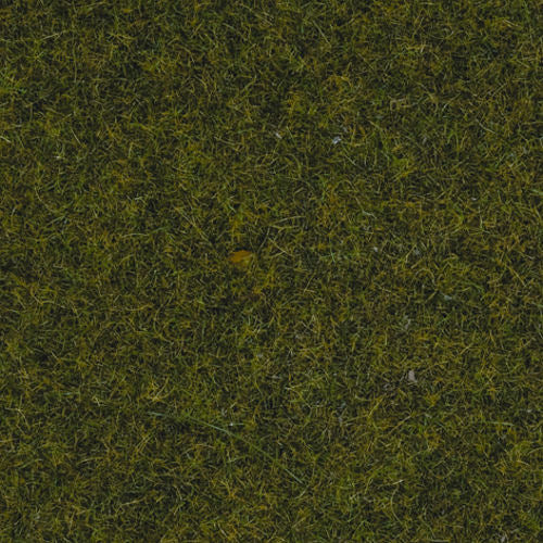 Noch Meadow Scatter Grass 2.5mm (100g) N50220