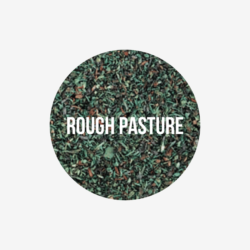 Fine Scatter, Rough Pasture (Js19)