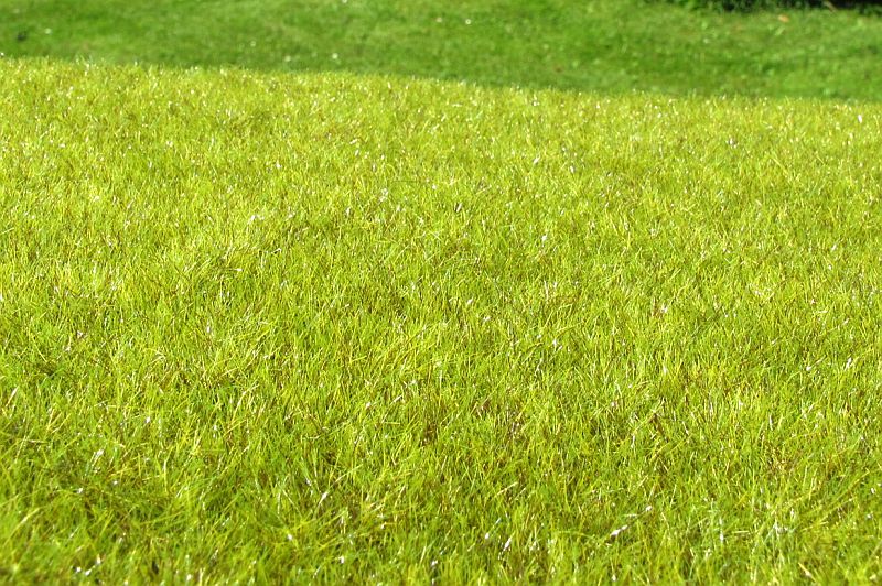 Model Scene Wetland light F010 18x28cm