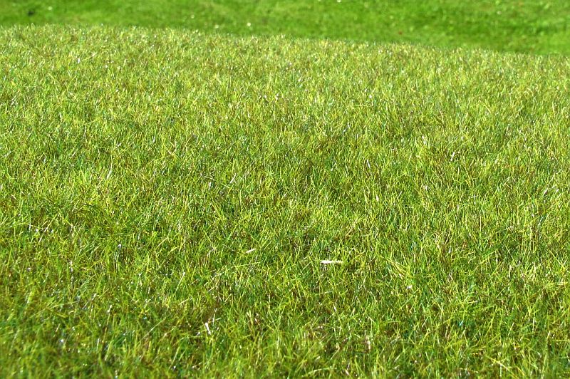 Model Scene Wetland middle F011 18x28cm