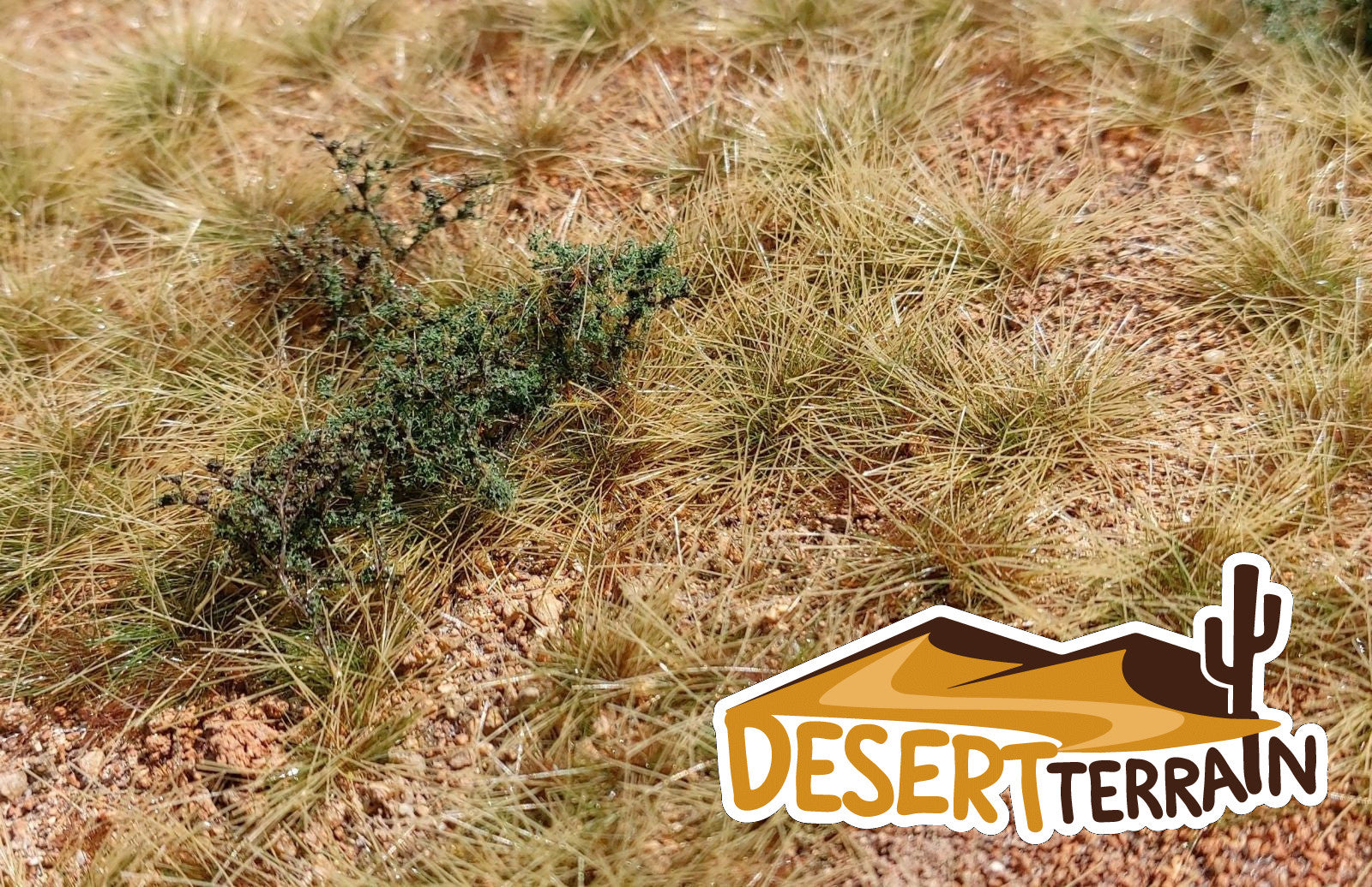 Model Scene San Pedro desert F340 18x28cm